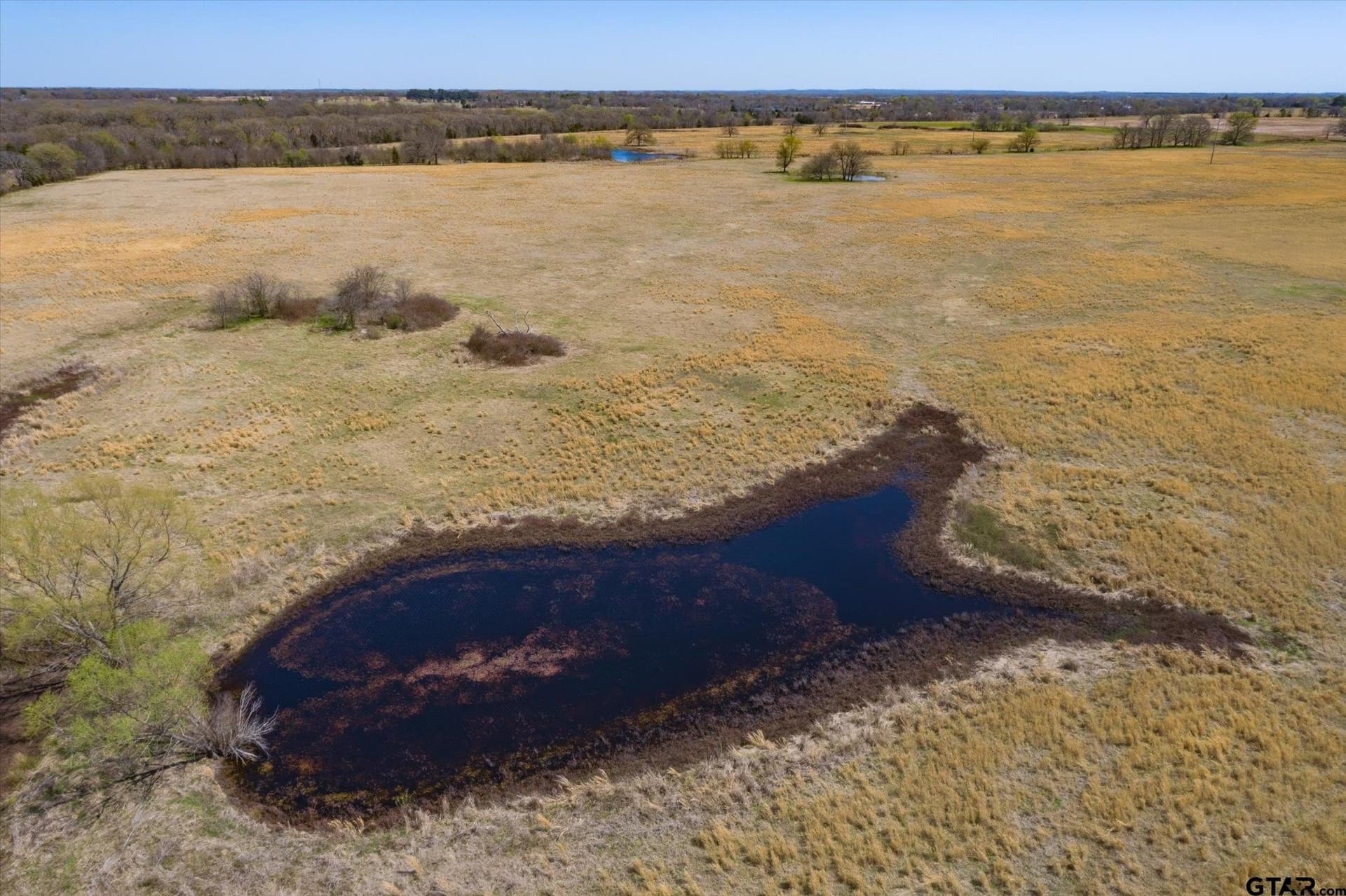 22 acres in Van Zandt County - photo 7