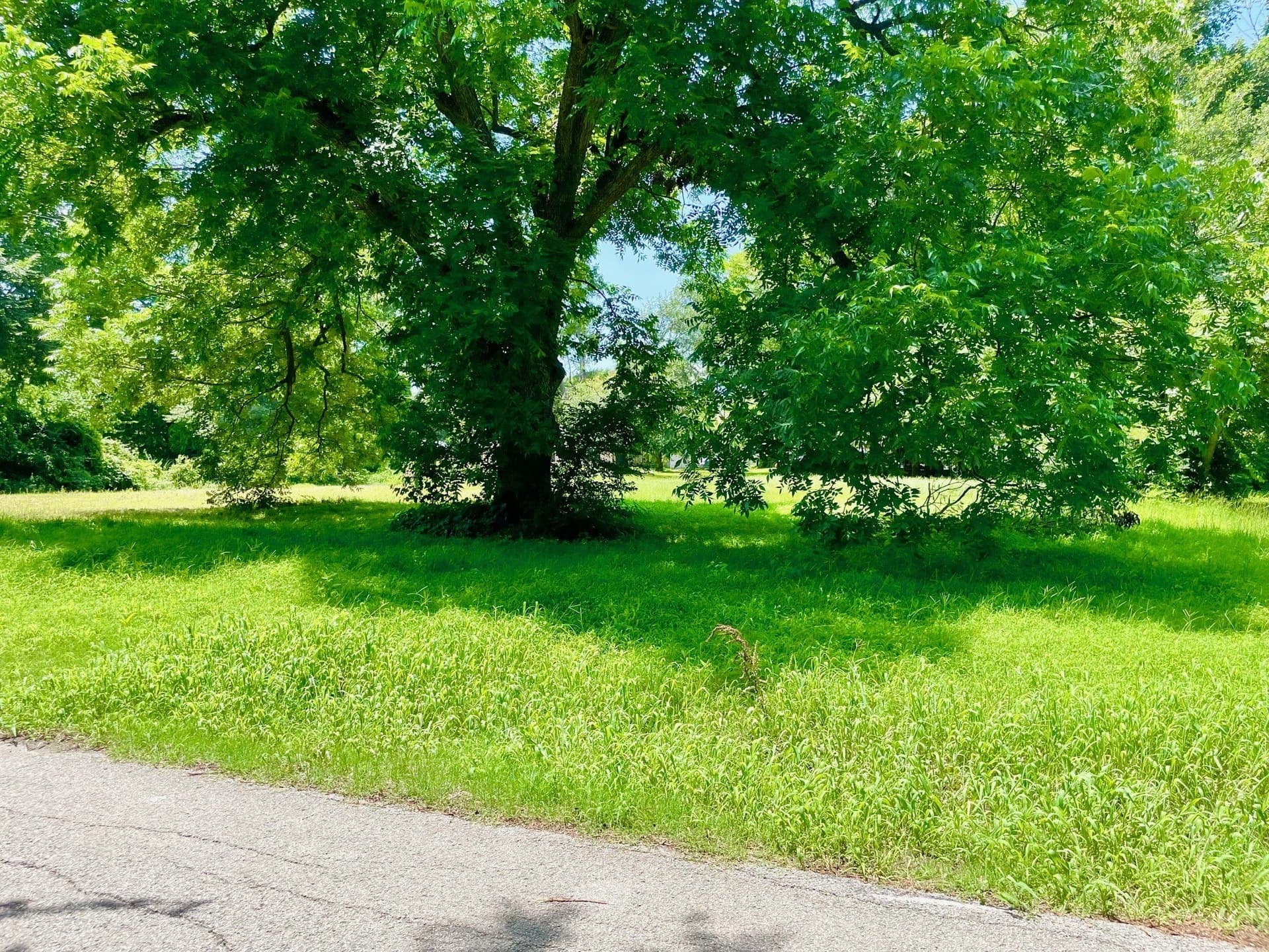 0.14 acres in Kaufman County - photo 2