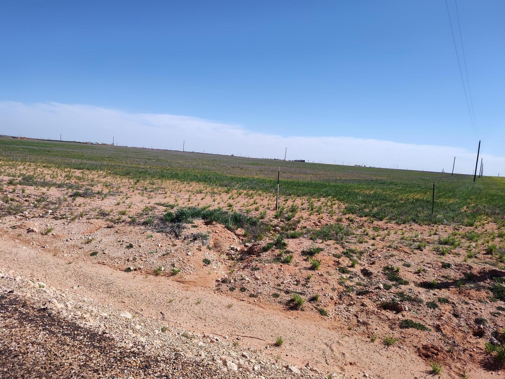 10.44 acres in Terry County - photo 4