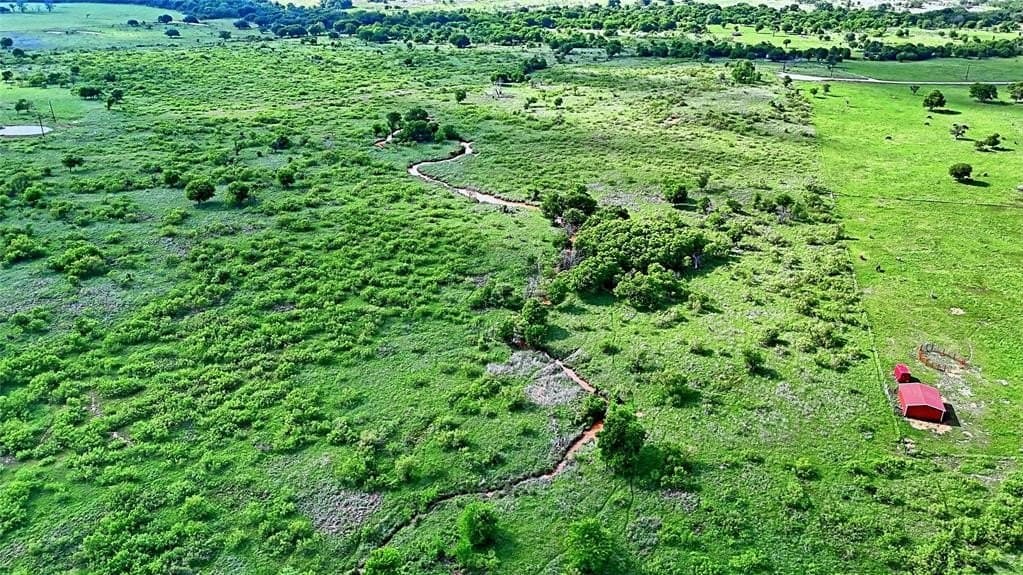 10.01 acres in Montague County gallery image 4