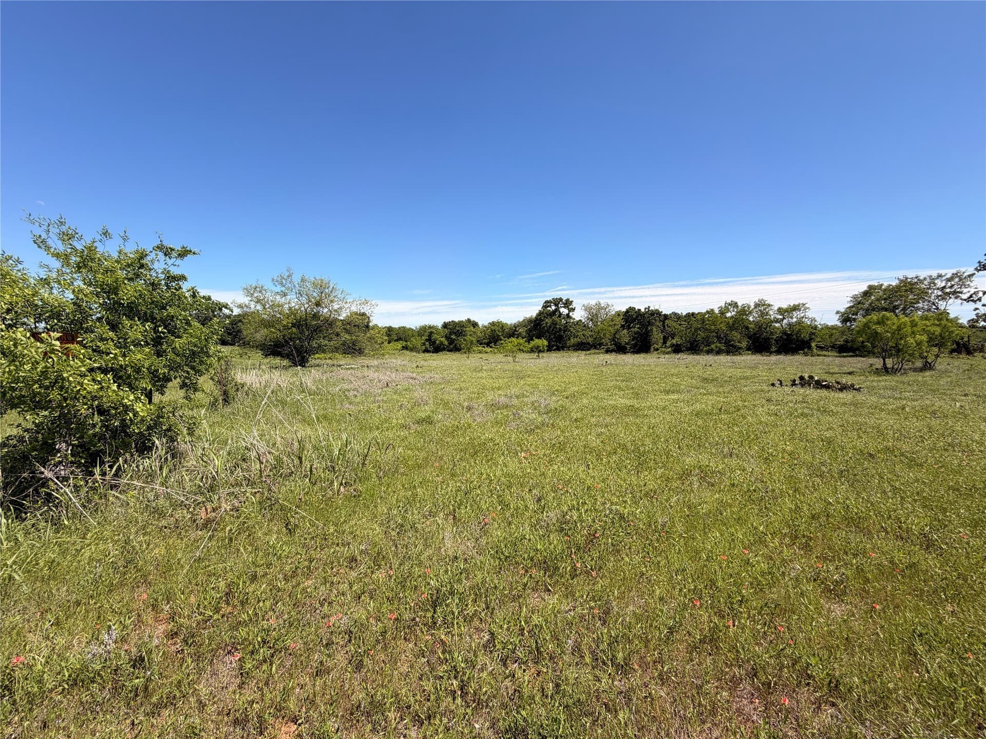 6.1 acres in Eastland County gallery image 3