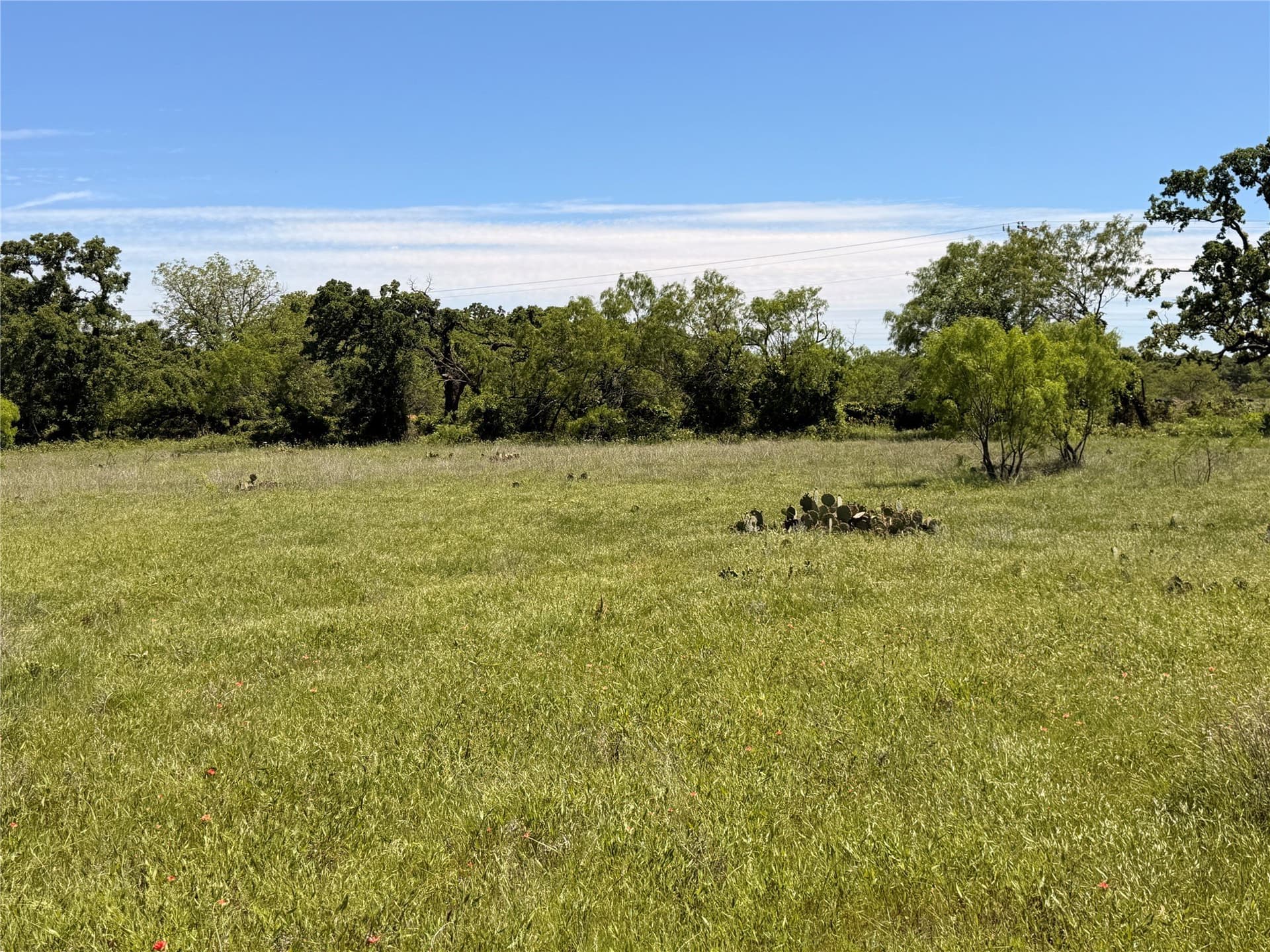6.1 acres in Eastland County gallery image 4