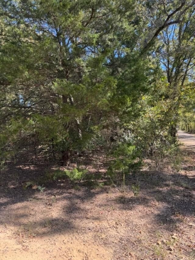 64 acres in VAN ZANDT County - photo 6