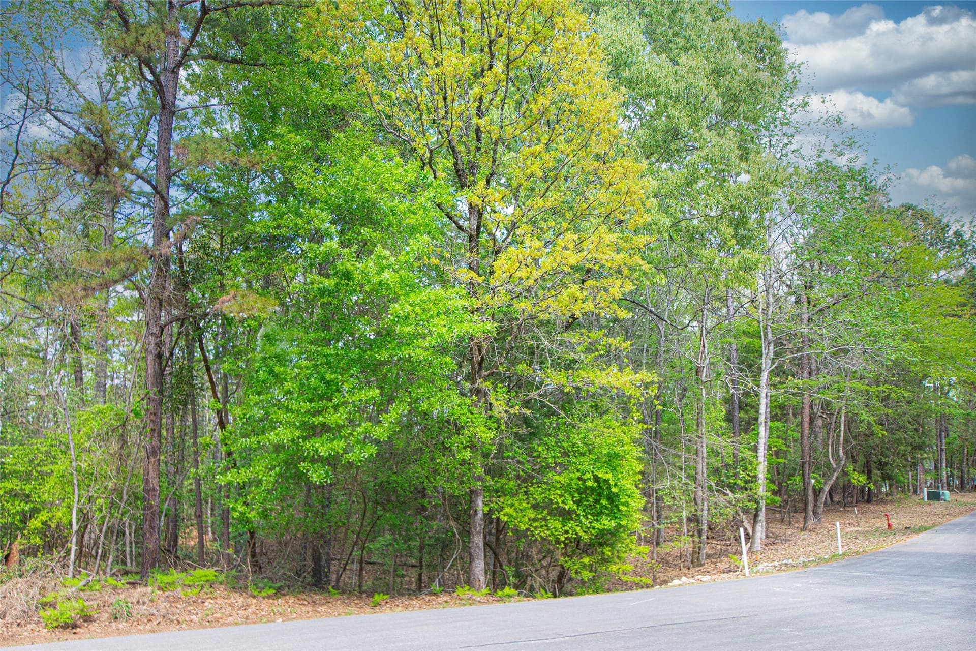 1.05 acres in Smith County featured view