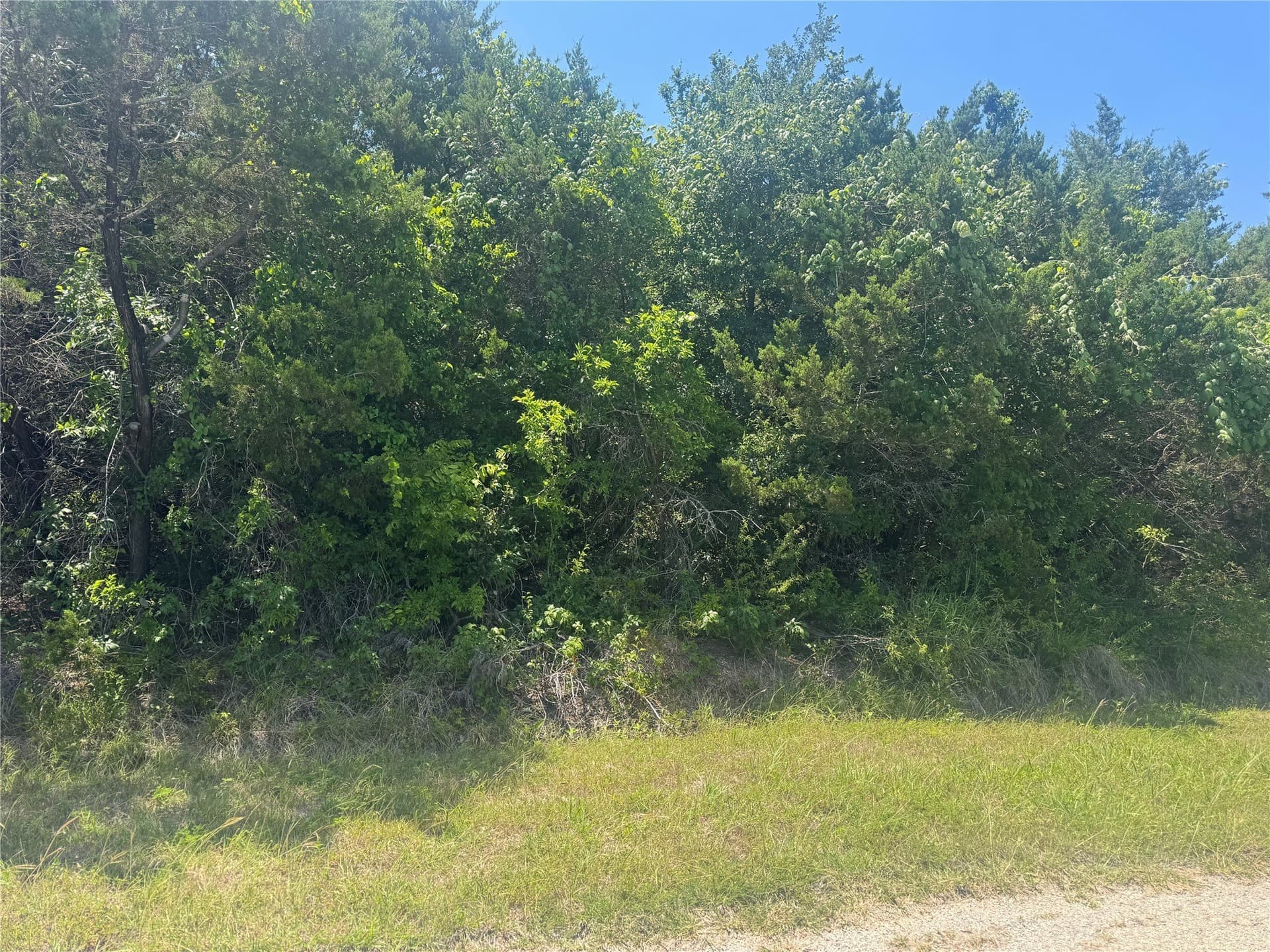 1.06 acres in Hill County - photo 4