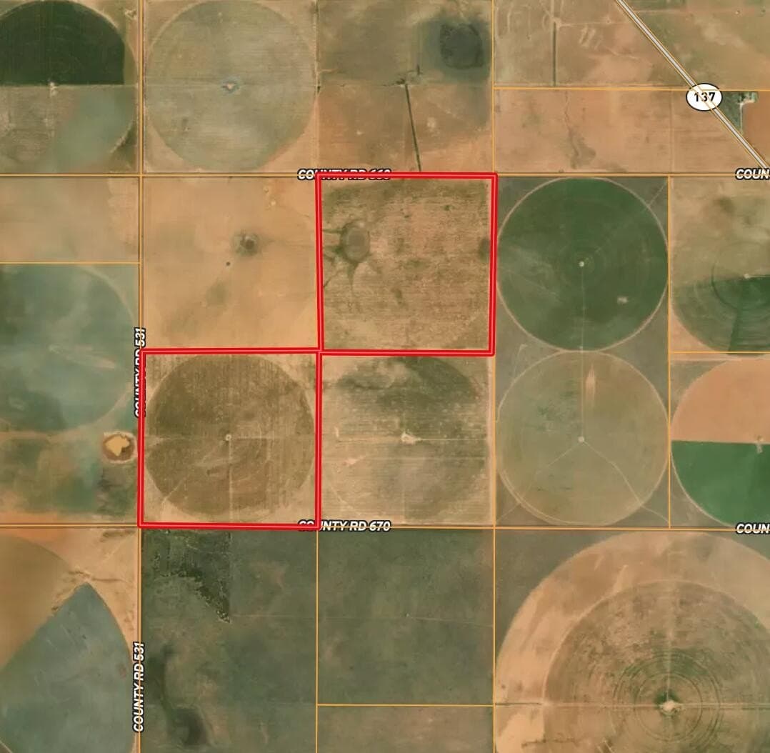 320 acres in Terry County gallery image 2