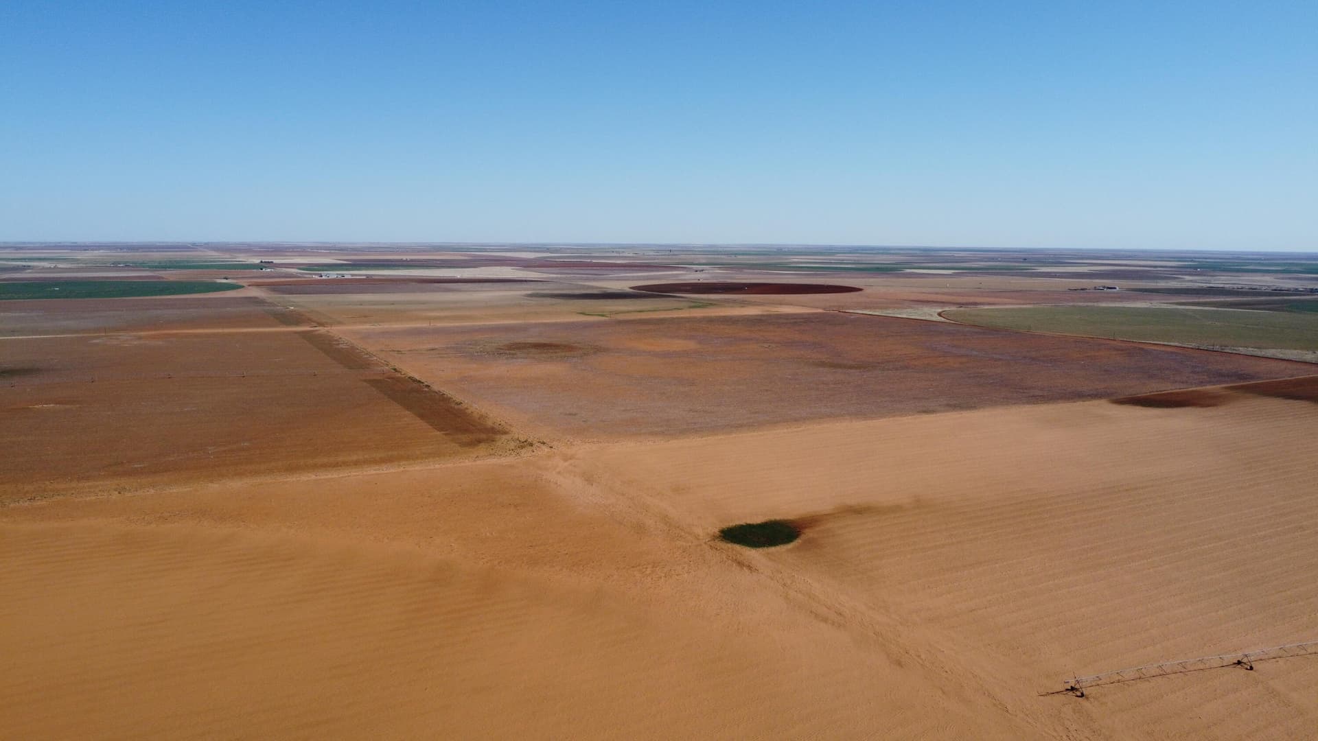 320 acres in Terry County - photo 6