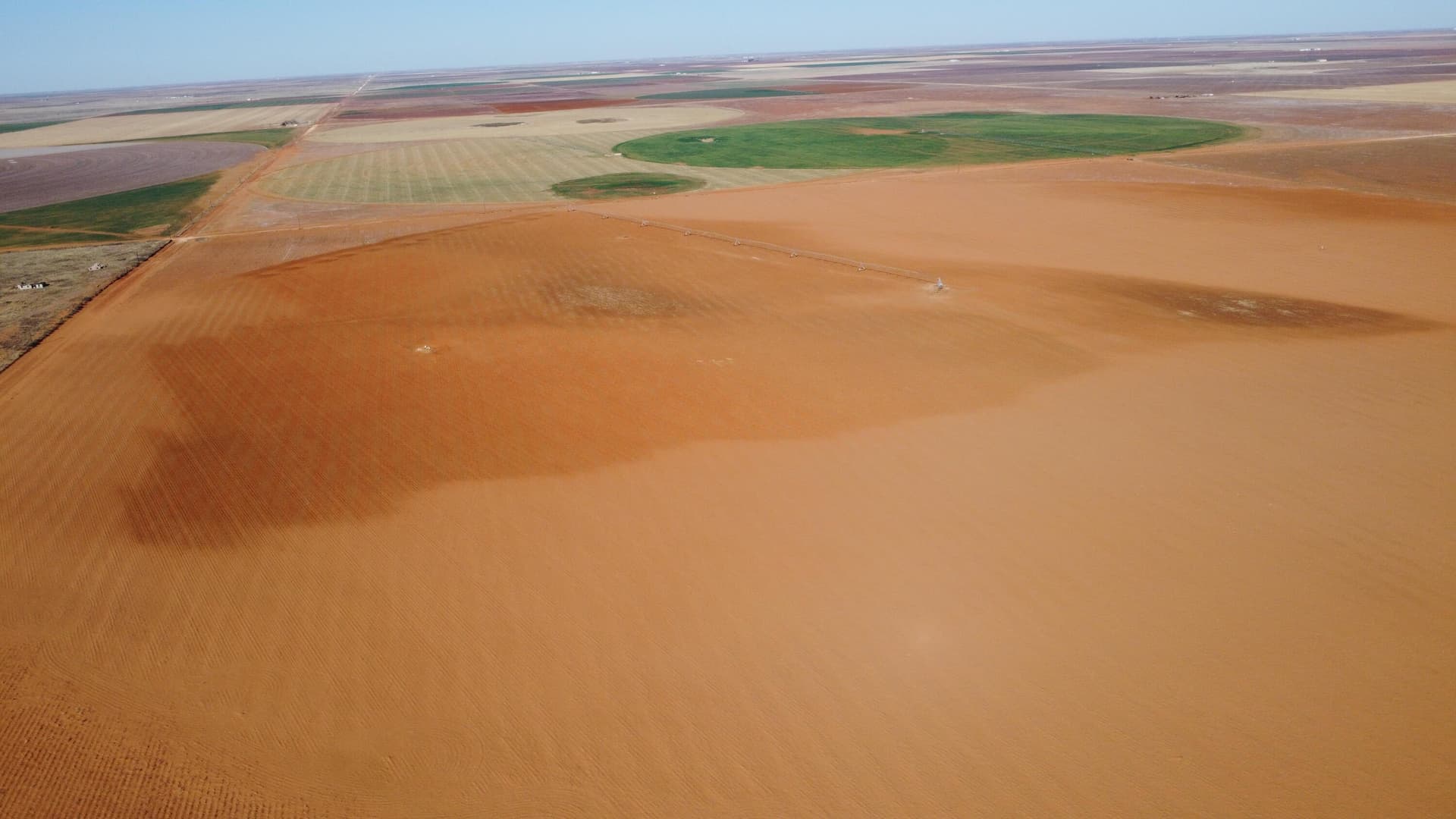 320 acres in Terry County gallery image 4