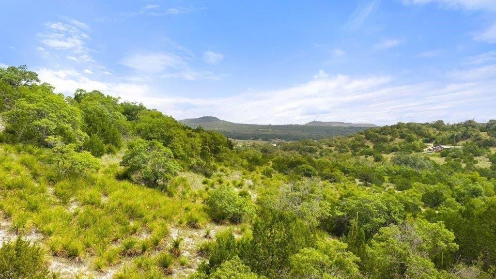 9.07 acres in Blanco County - photo 16