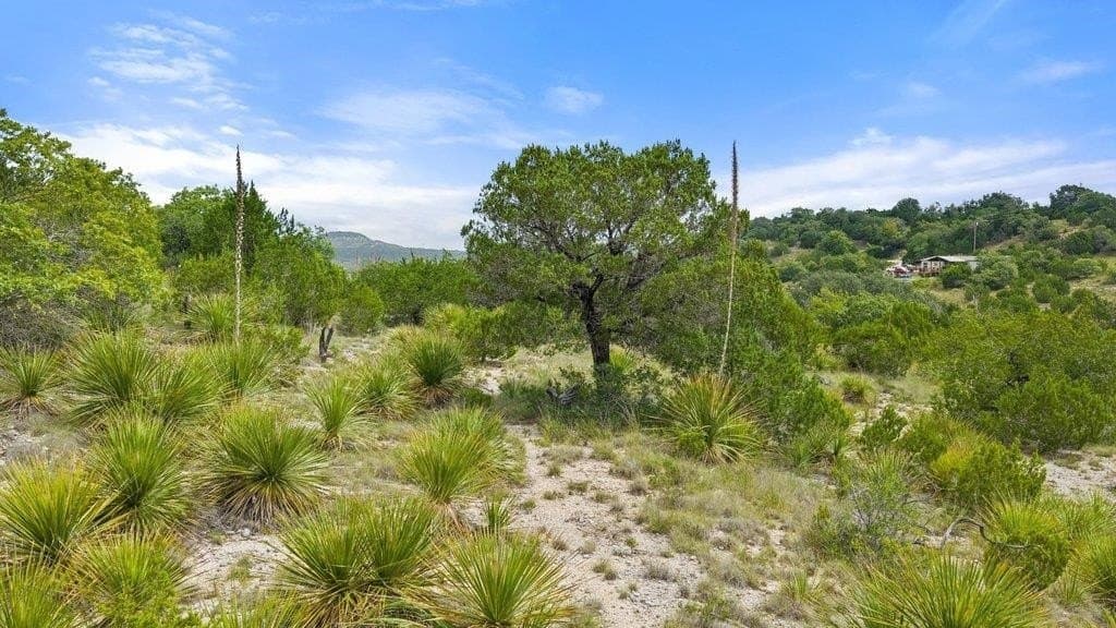 9.07 acres in Blanco County - photo 18
