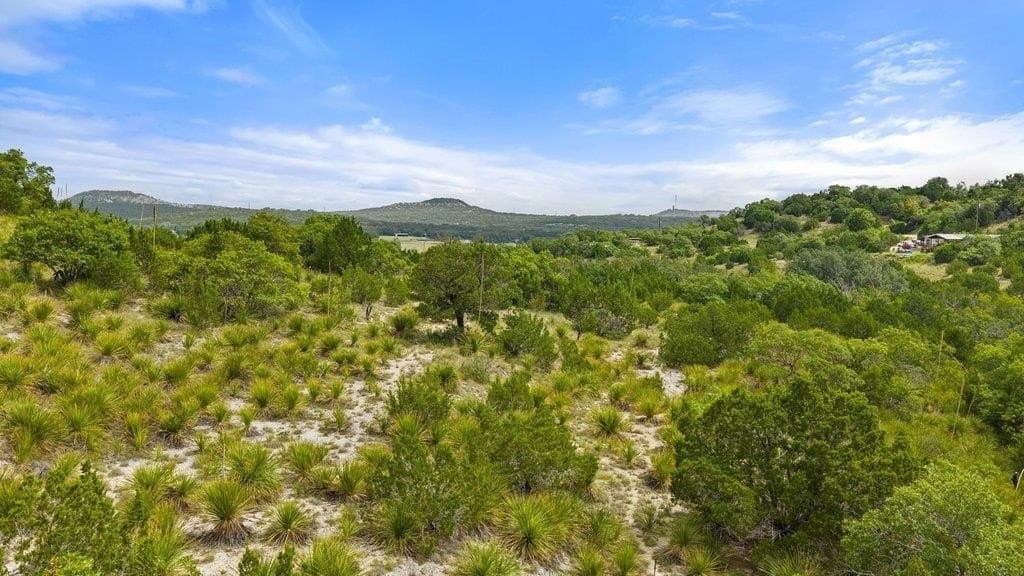 9.07 acres in Blanco County - photo 17