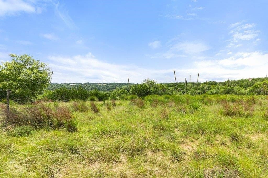 9.07 acres in Blanco County - photo 13