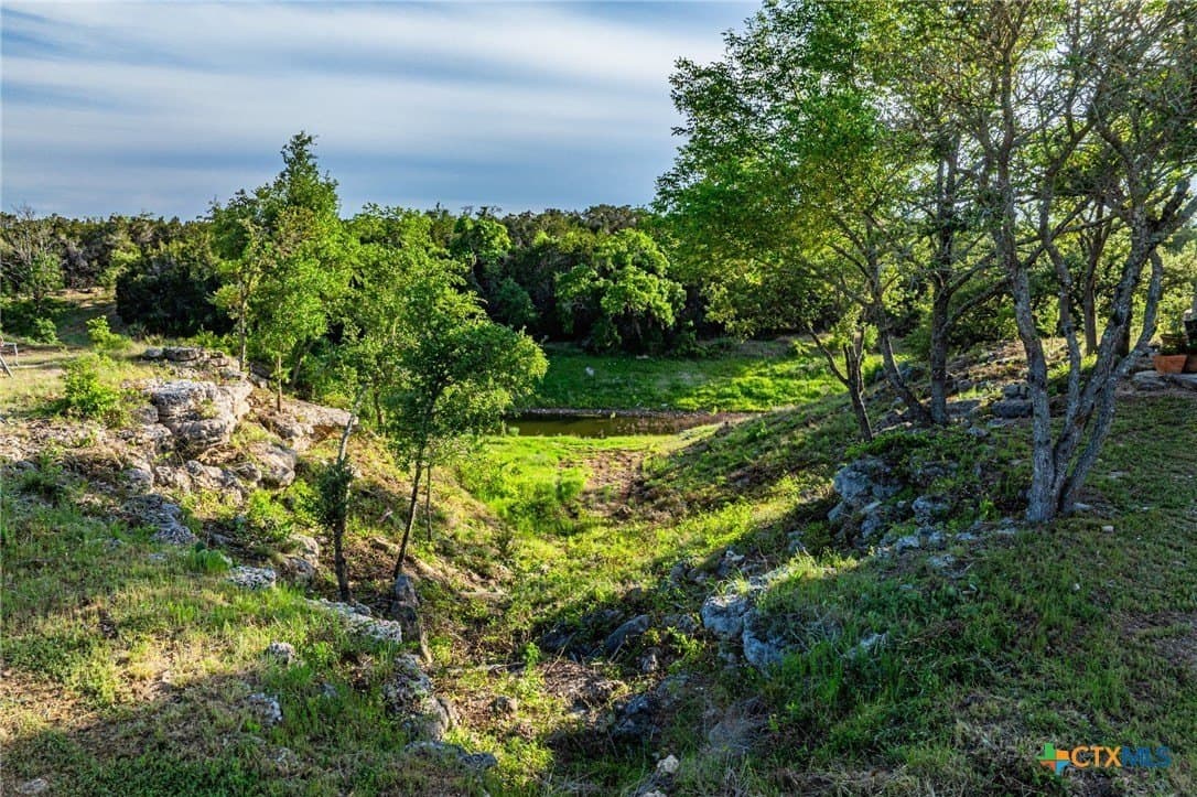 51.7 acres in Hays County gallery image 4