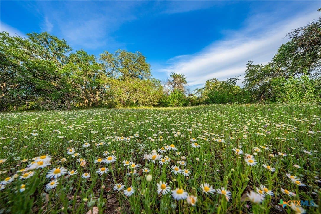 51.7 acres in Hays County featured view