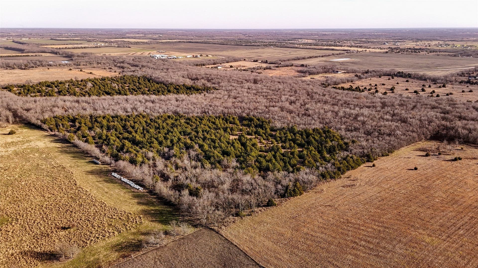 121.21 acres in Hunt County featured view