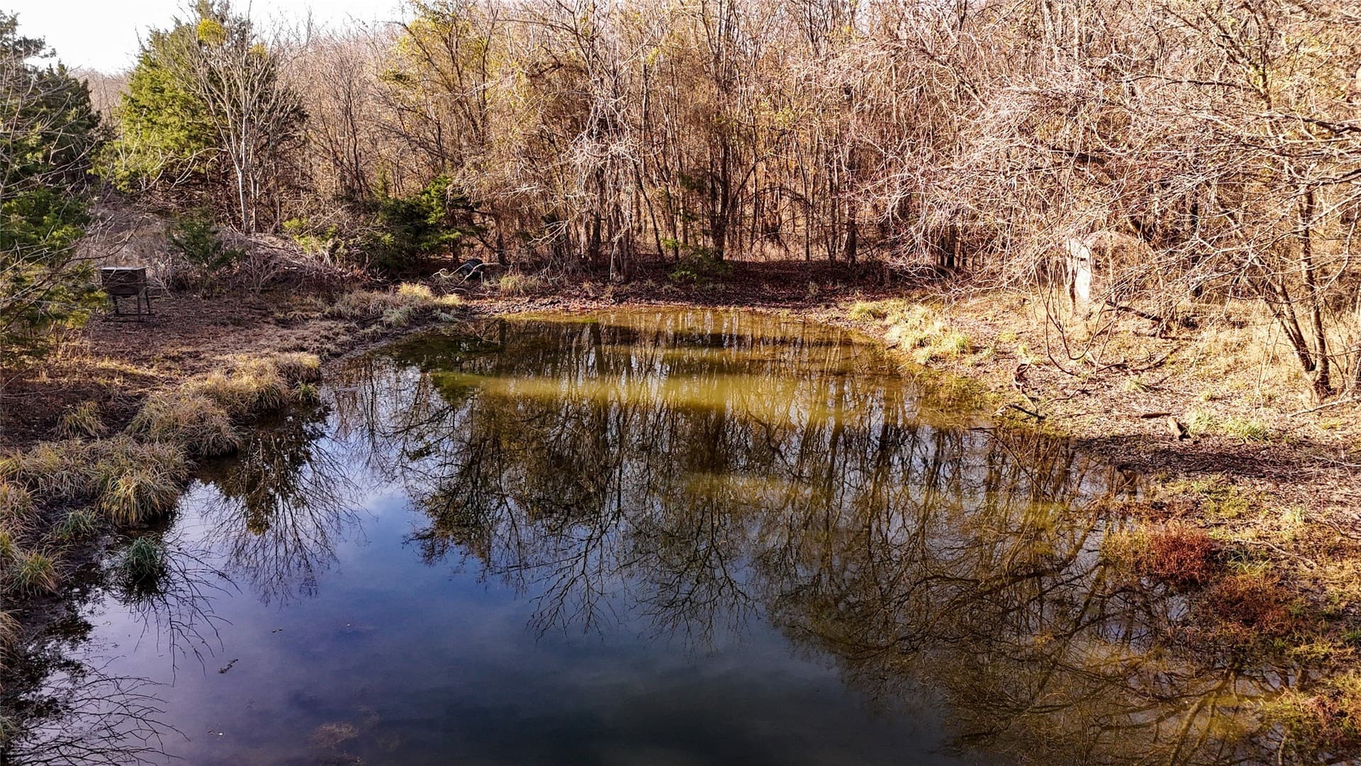 121.21 acres in Hunt County gallery image 4