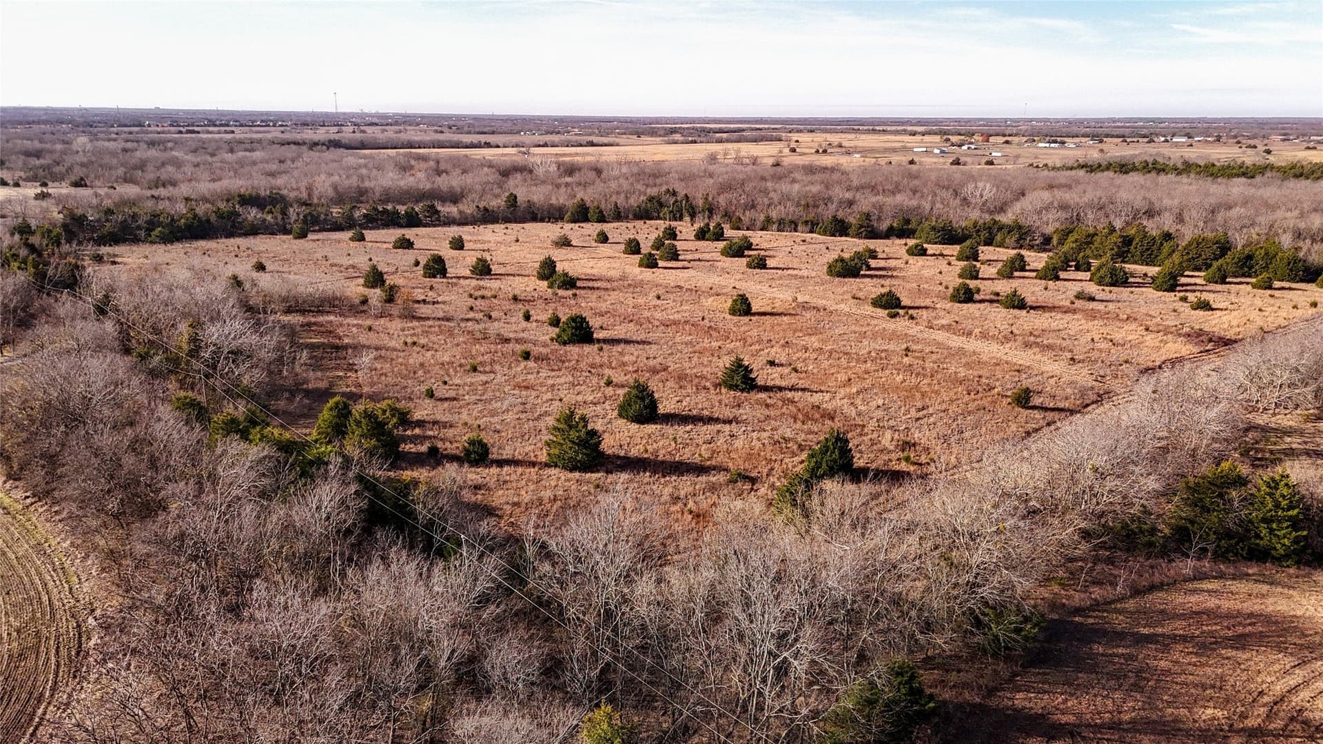 121.21 acres in Hunt County gallery image 3