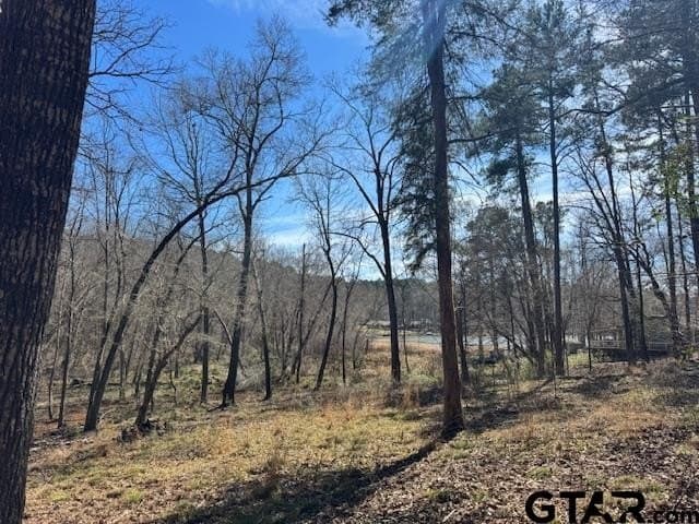 4.28 acres in Anderson County