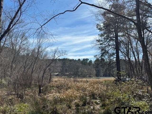 4.28 acres in Anderson County gallery image 4