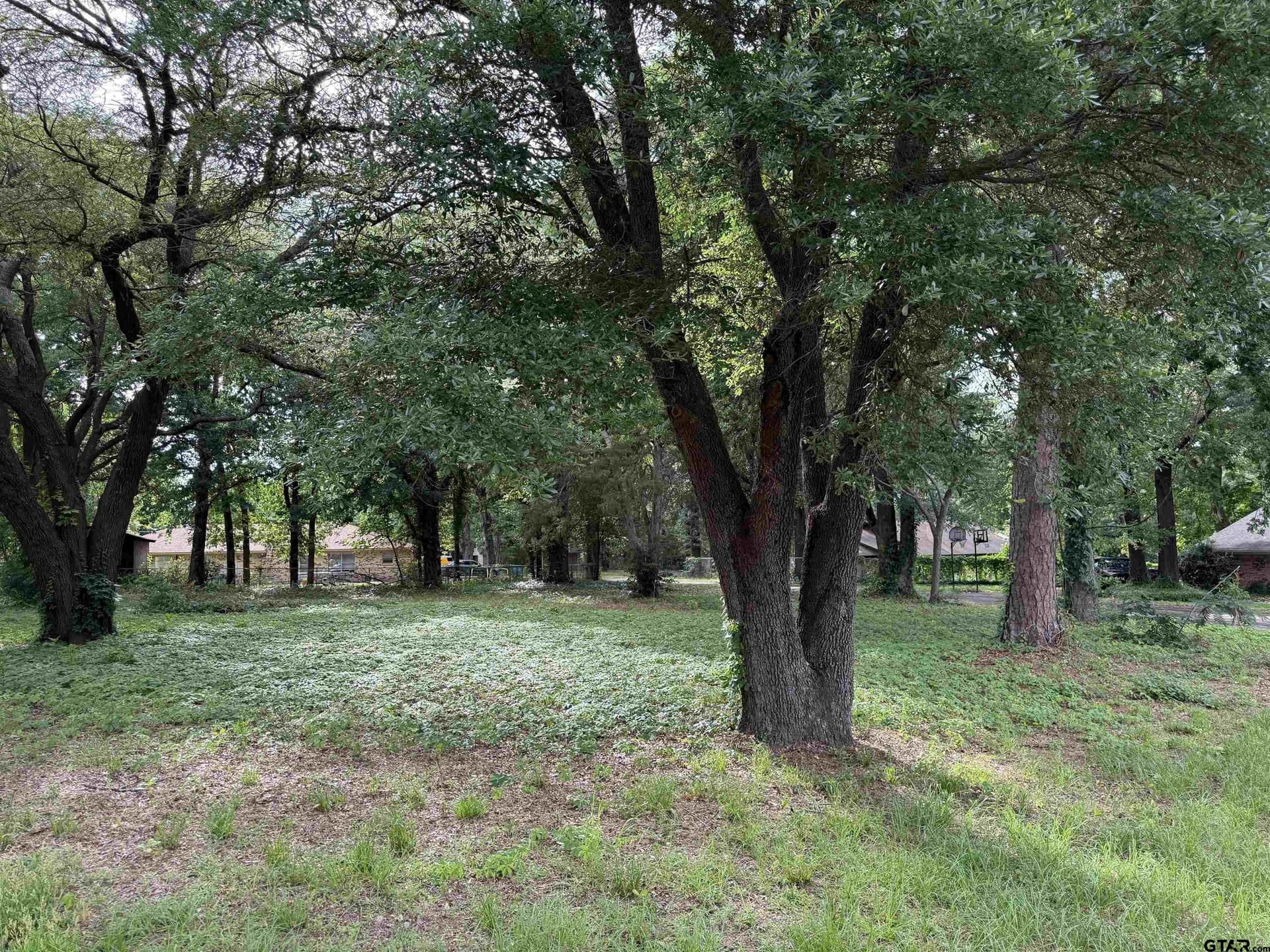 0.37 acres in Wood County - photo 6