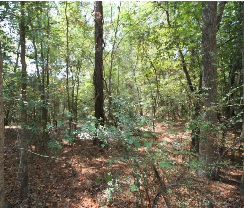 0.54 acres in Texas County - photo 2