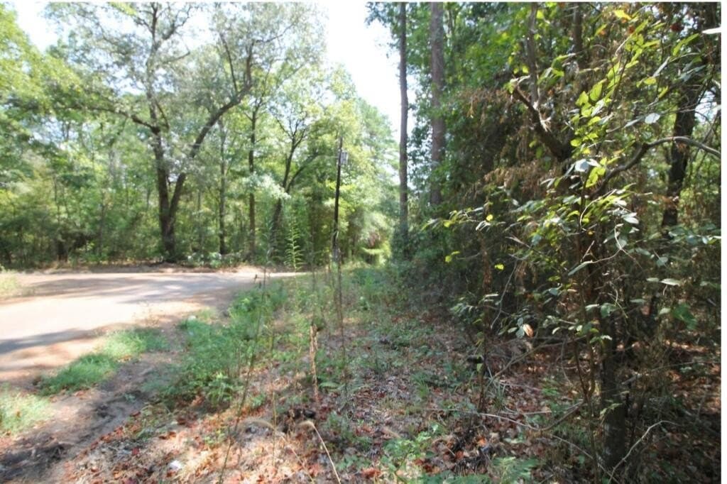 0.54 acres in Texas County - photo 6