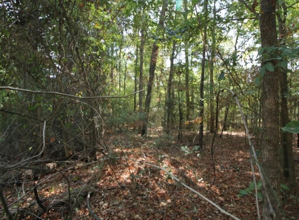 0.54 acres in Texas County - photo 5