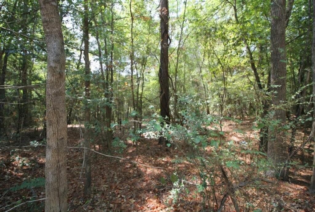 0.54 acres in Texas County - photo 4