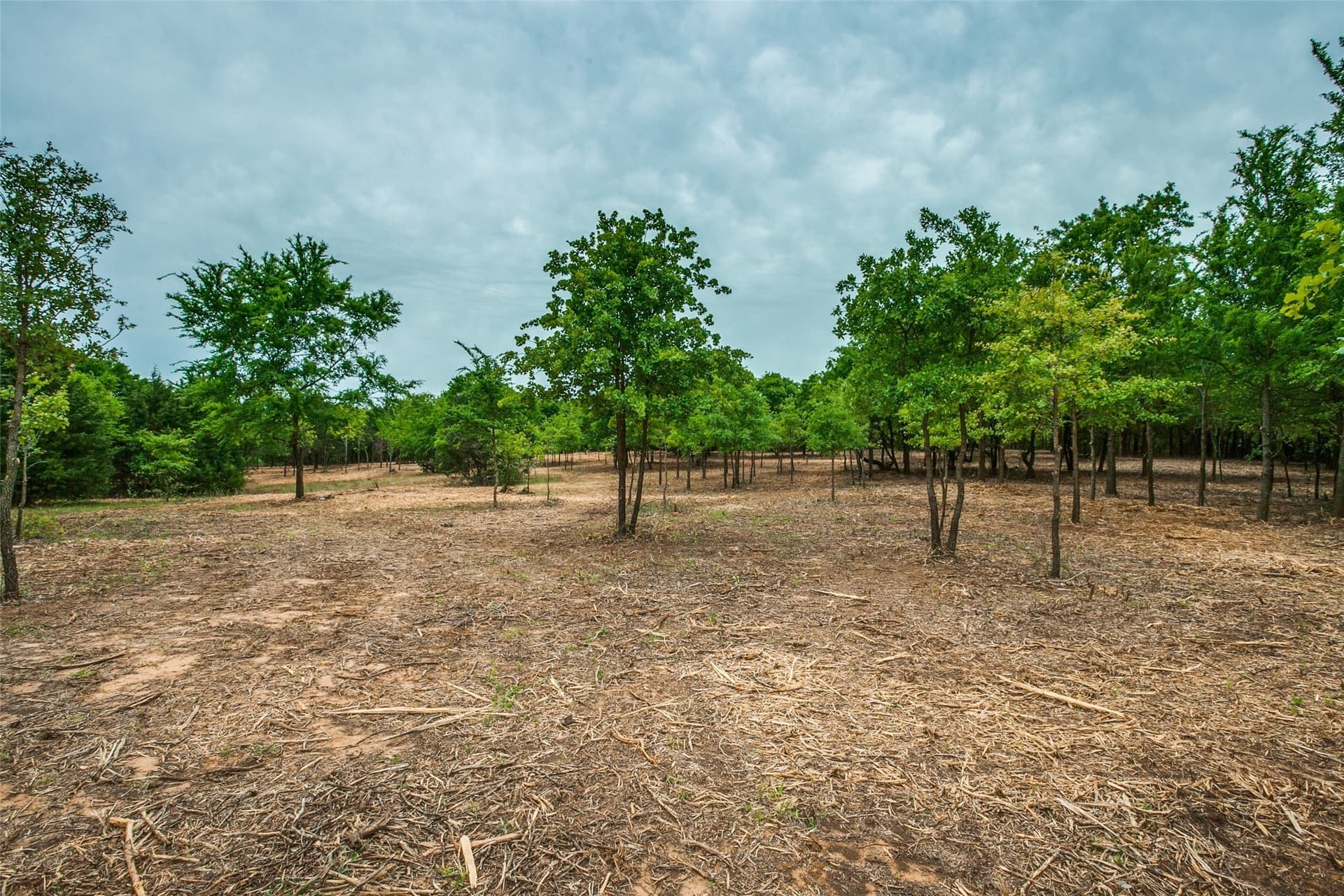 22.79 acres in Denton County - photo 19
