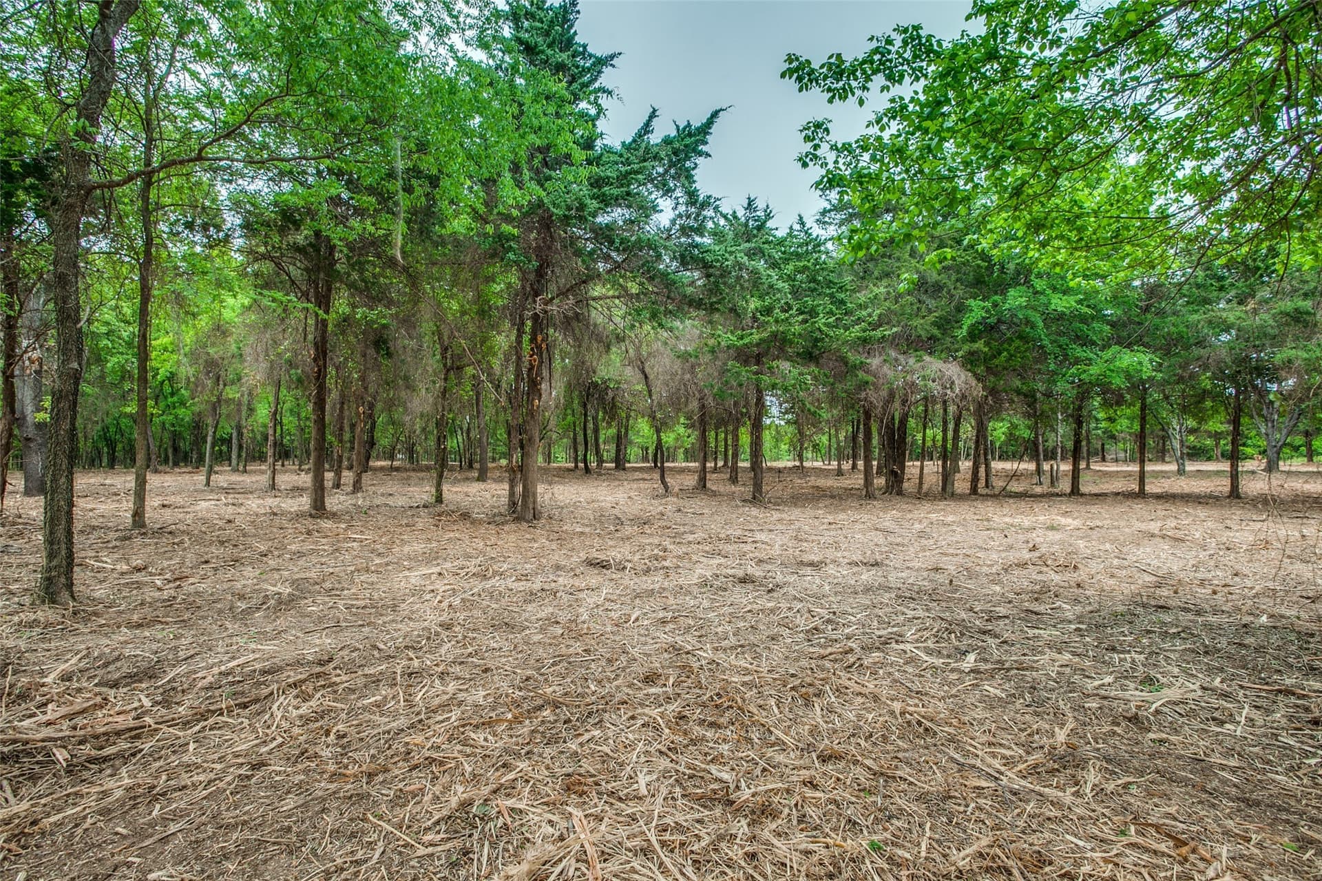 22.79 acres in Denton County - photo 16