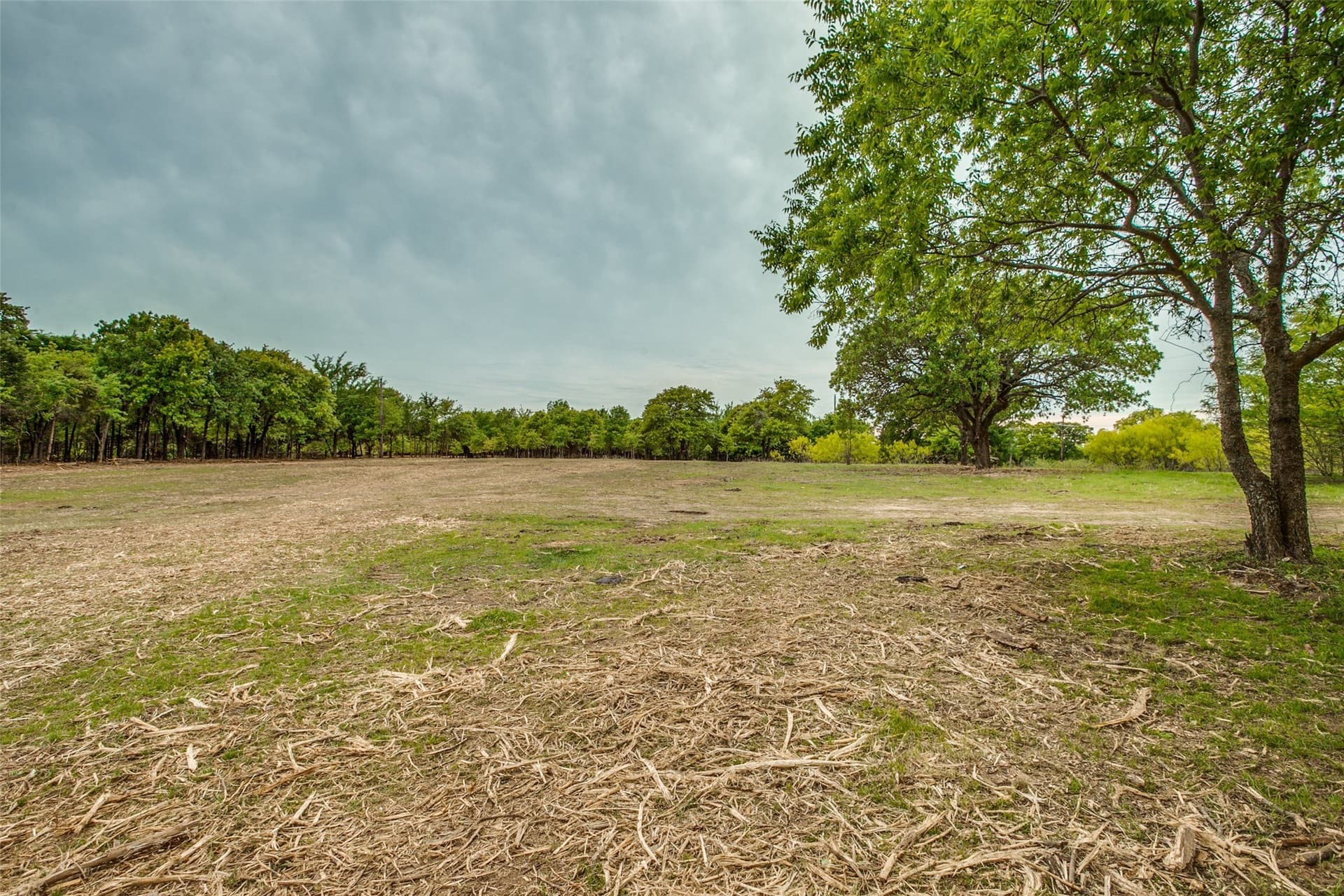 22.79 acres in Denton County - photo 13