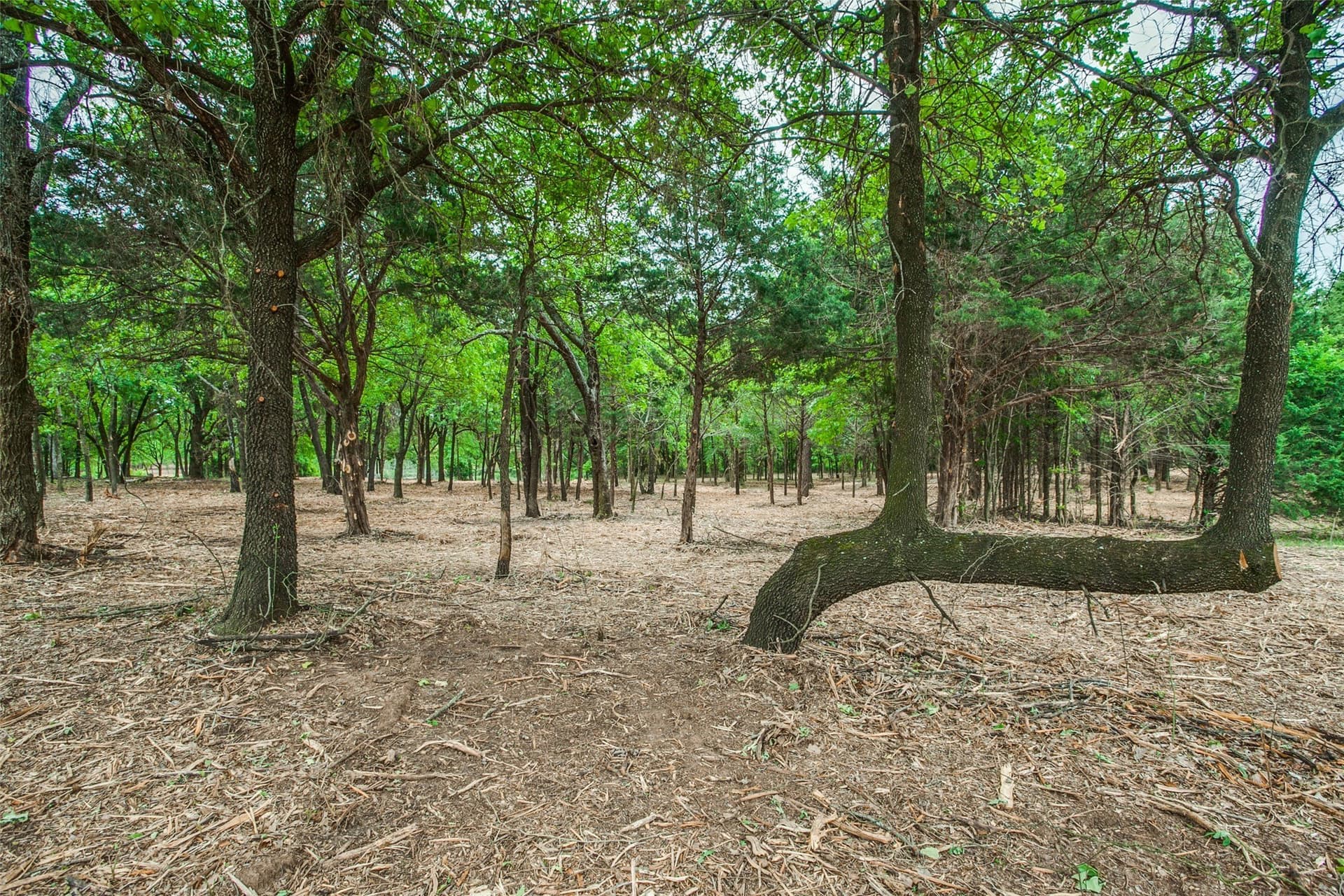 22.79 acres in Denton County - photo 18