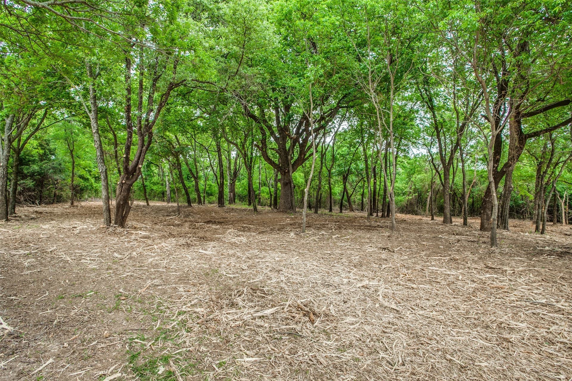 22.79 acres in Denton County - photo 17