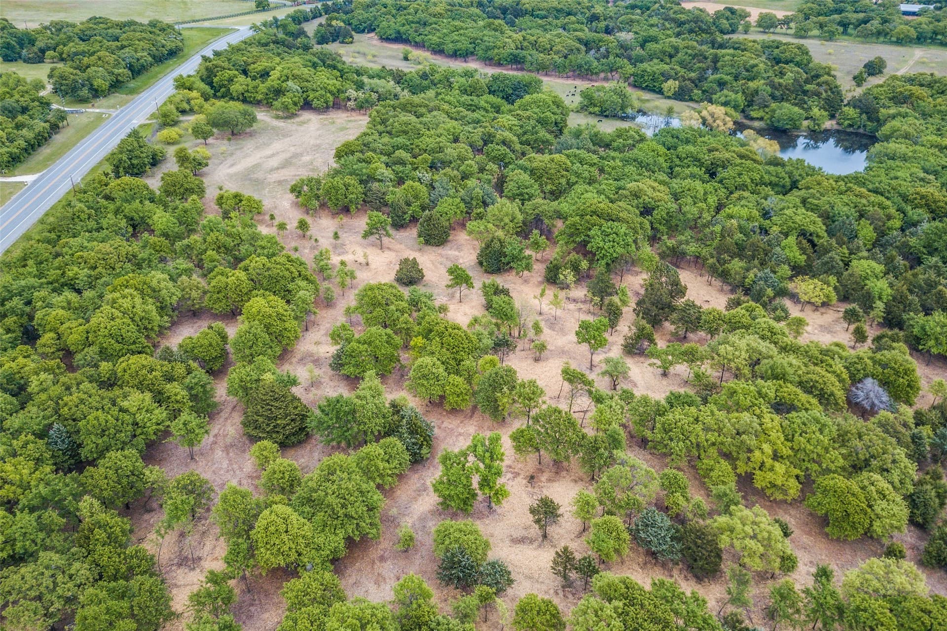 22.79 acres in Denton County featured view