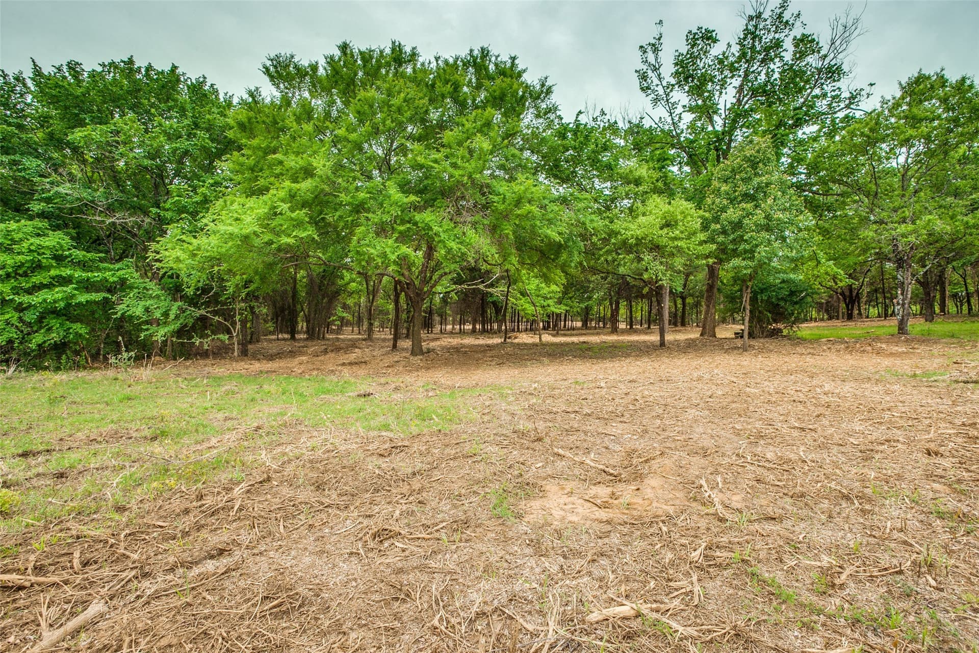 22.79 acres in Denton County - photo 7