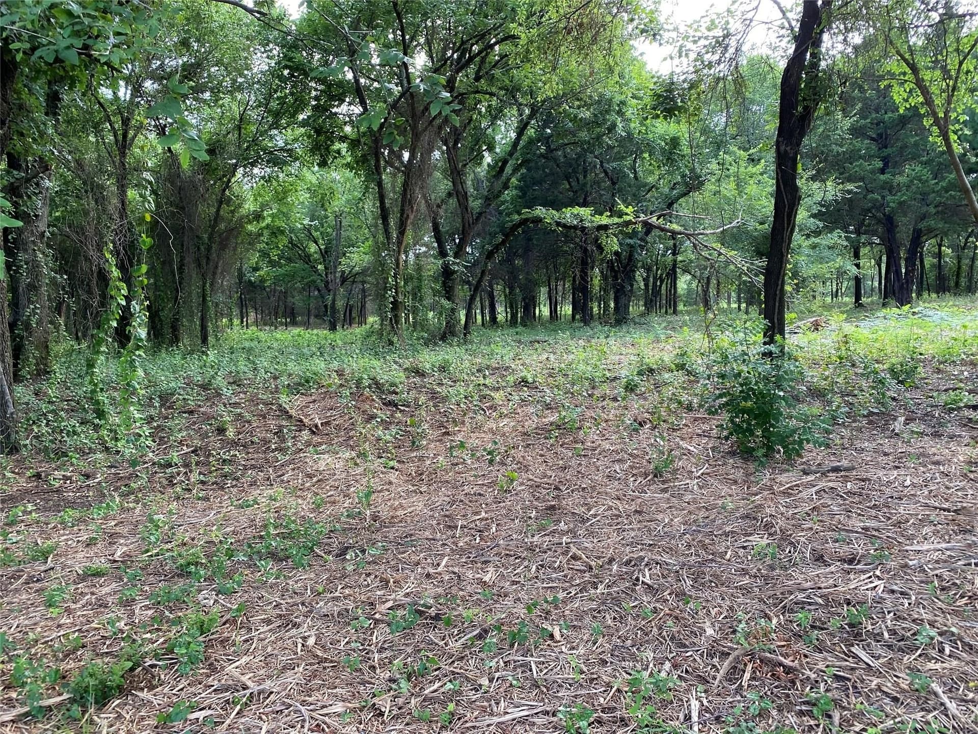 22.79 acres in Denton County - photo 11