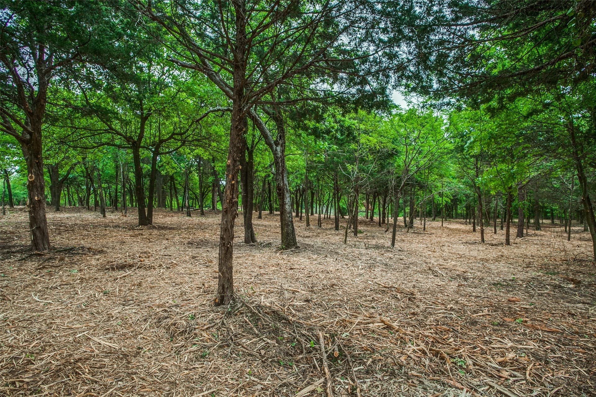 22.79 acres in Denton County - photo 20