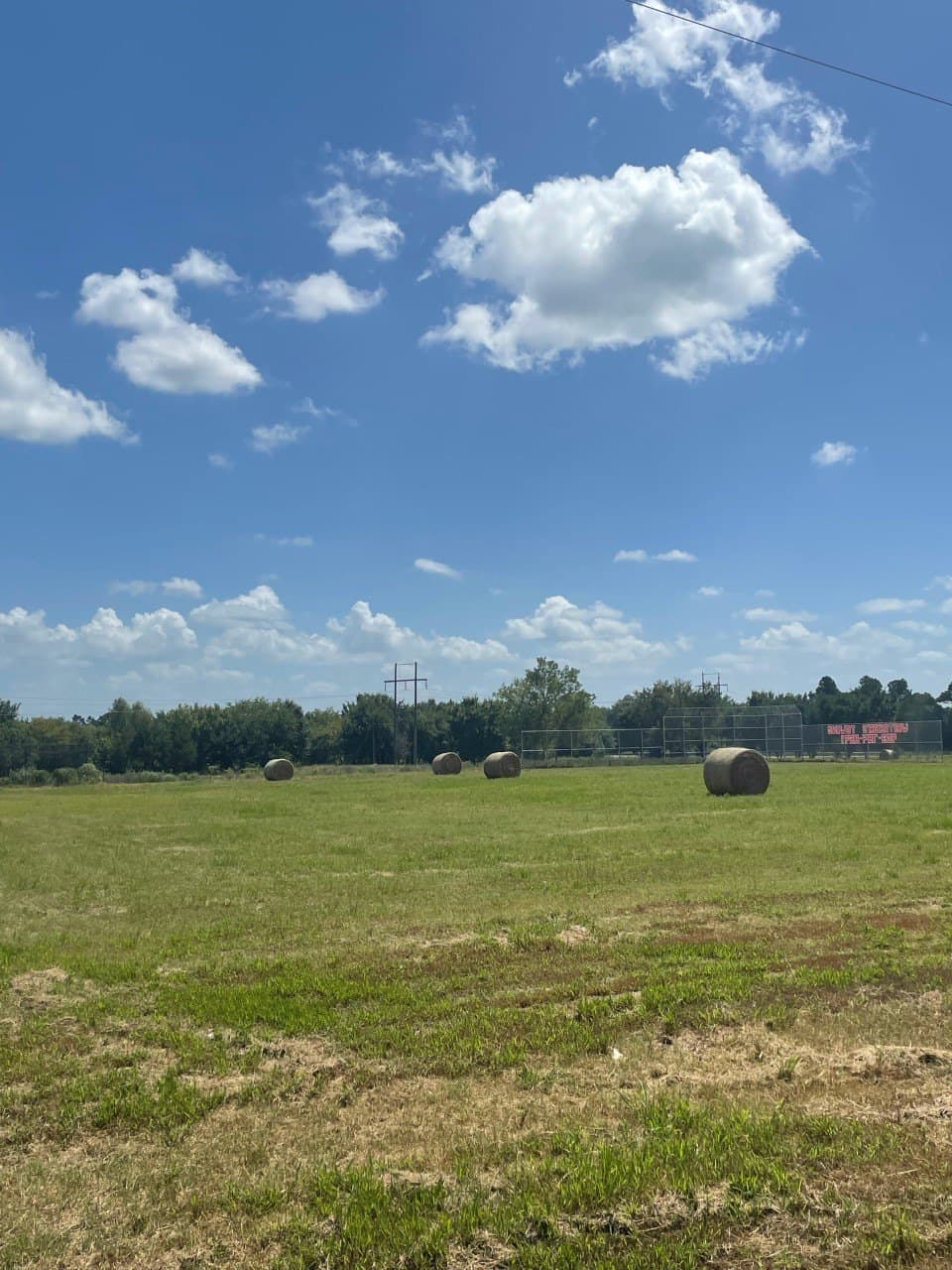 9.56 acres in Lamar County - photo 6