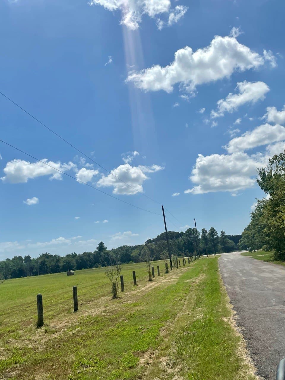 9.56 acres in Lamar County featured view