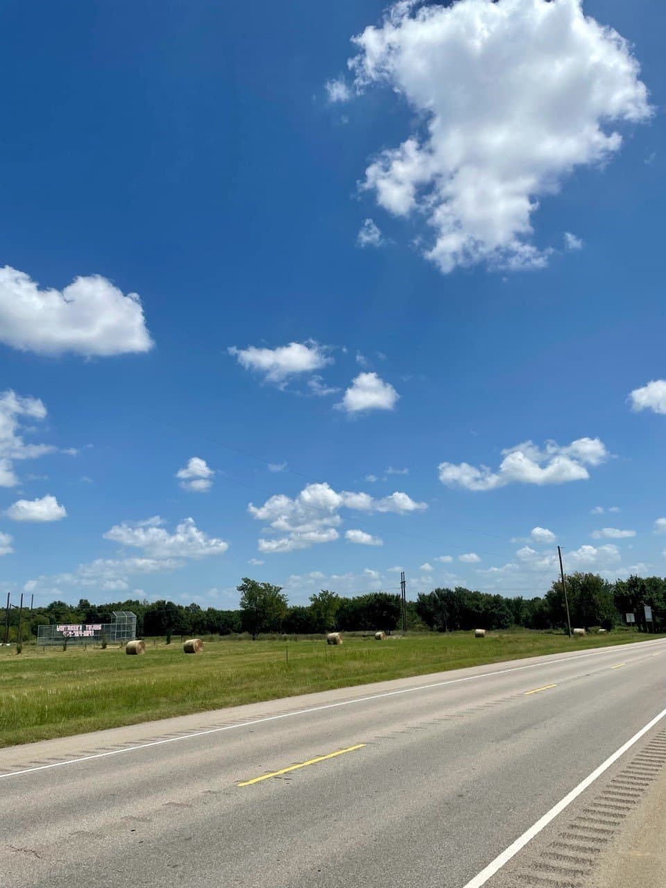 9.56 acres in Lamar County gallery image 3