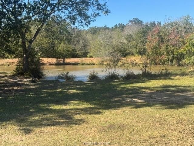 64 acres in Brazos County gallery image 2