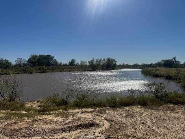 64 acres in Brazos County gallery image 3