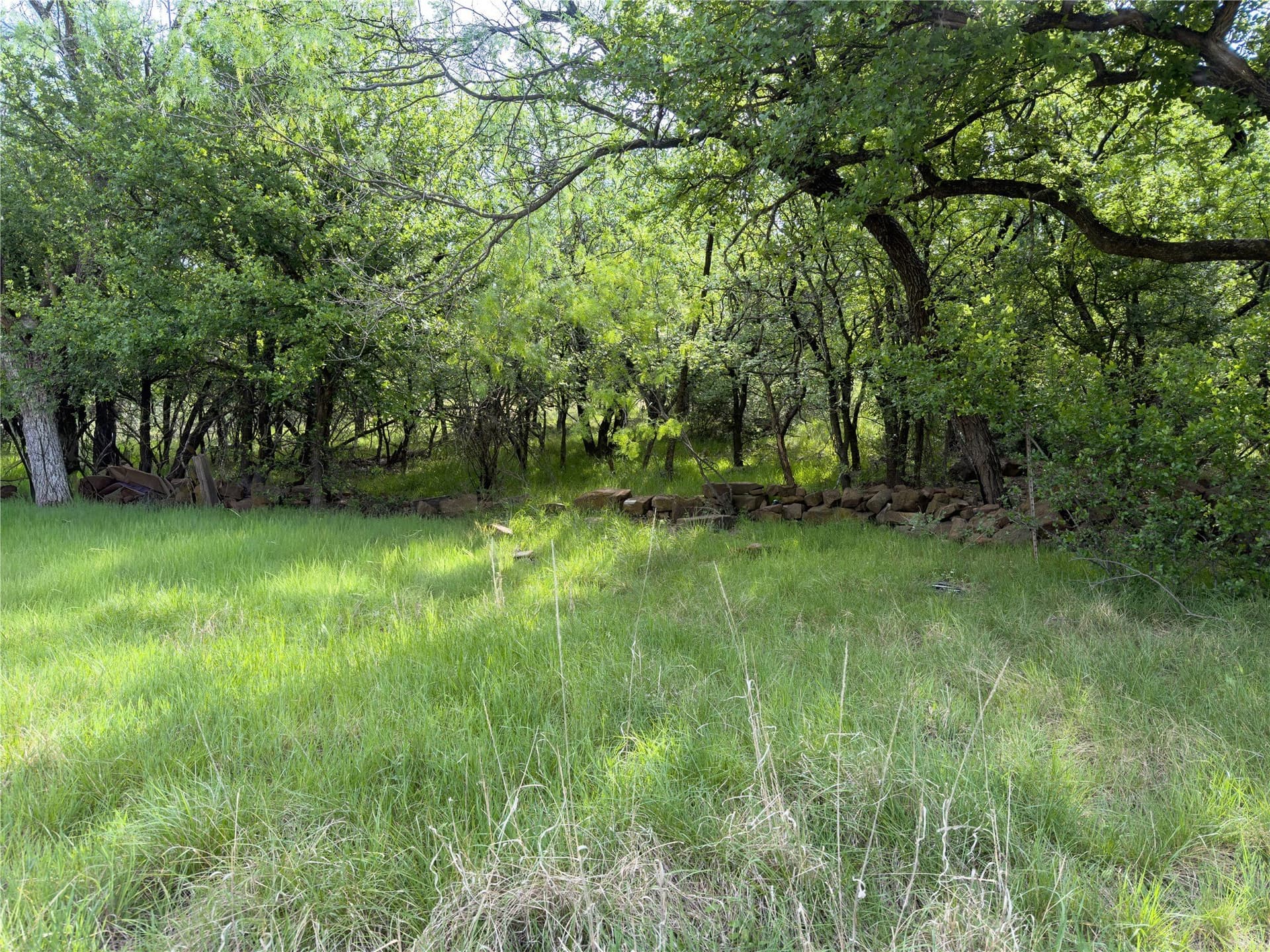 0.23 acres in Palo Pinto County - photo 8