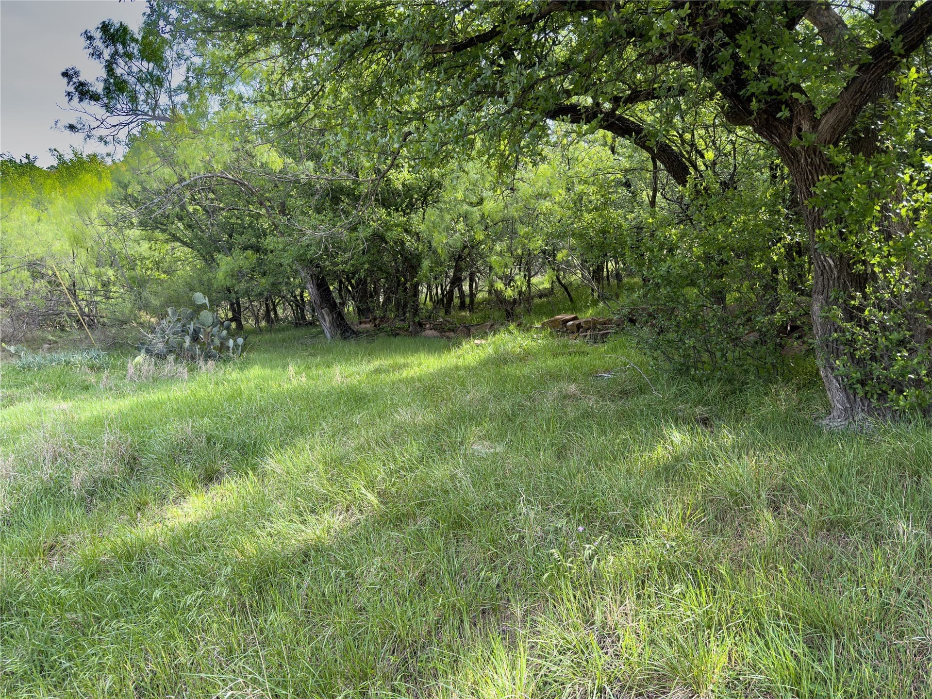 0.23 acres in Palo Pinto County - photo 4