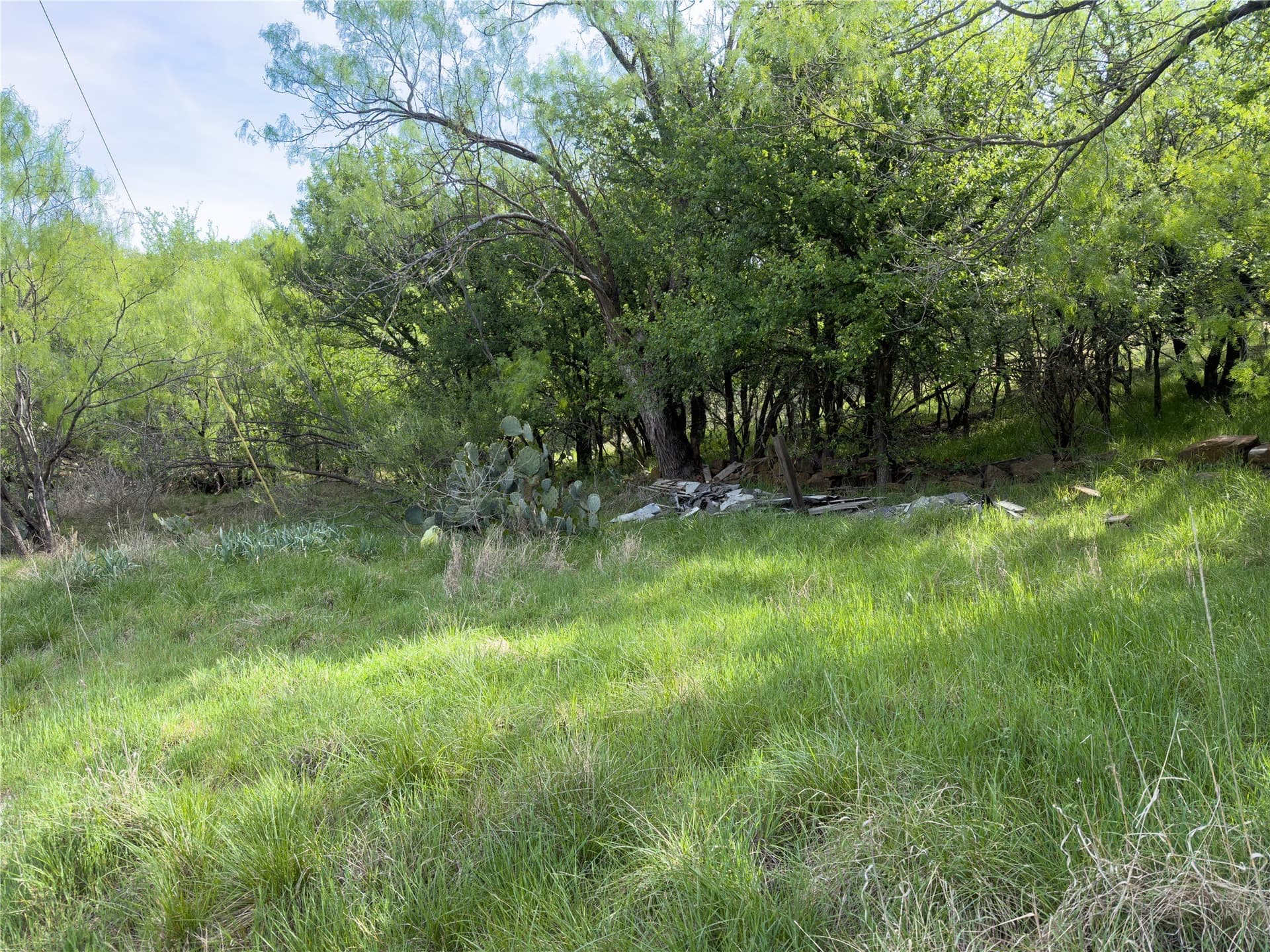 0.23 acres in Palo Pinto County - photo 10