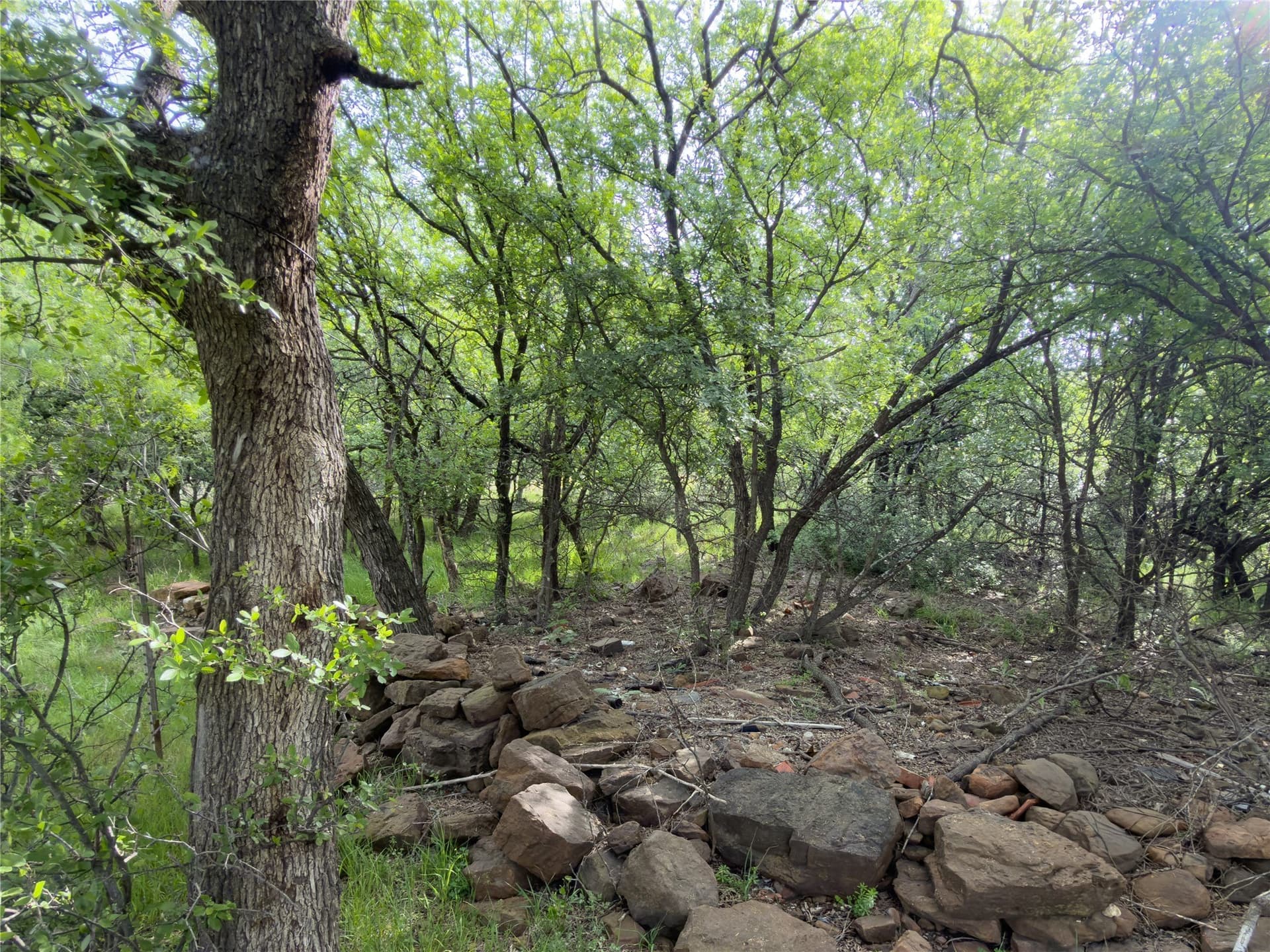 0.23 acres in Palo Pinto County - photo 2
