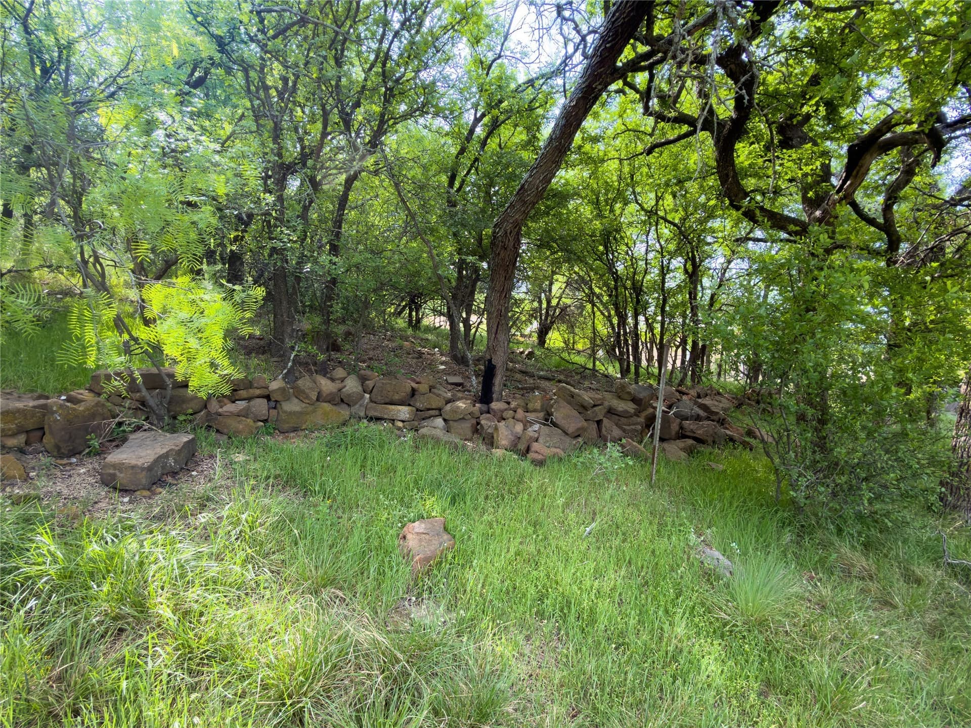 0.23 acres in Palo Pinto County - photo 15