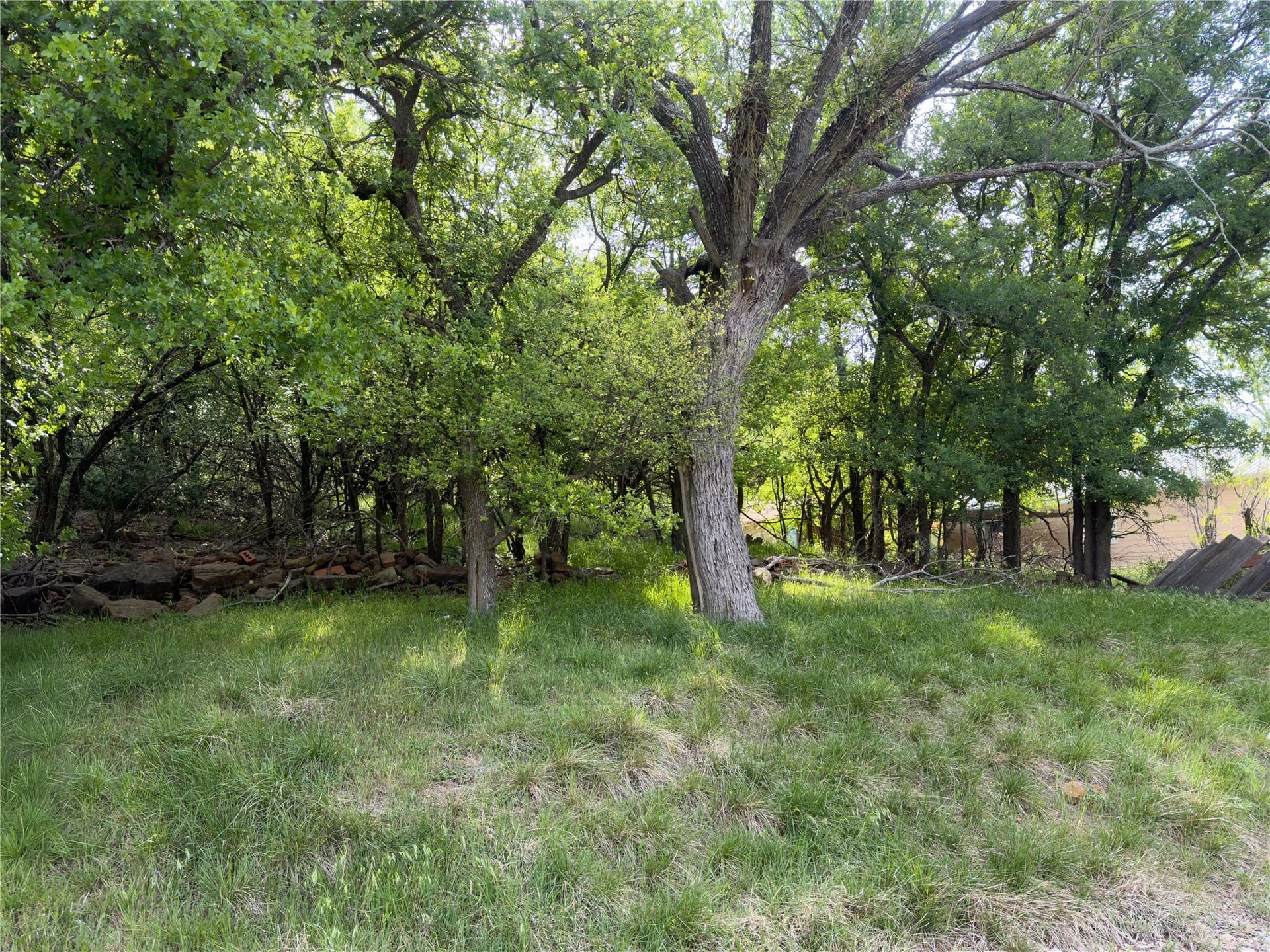 0.23 acres in Palo Pinto County - photo 7