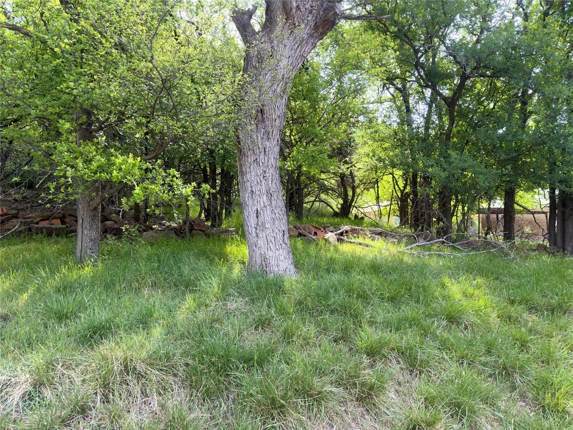0.23 acres in Palo Pinto County - photo 5