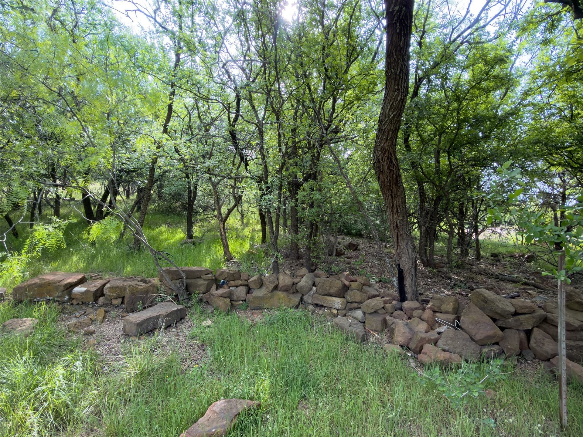 0.23 acres in Palo Pinto County - photo 3